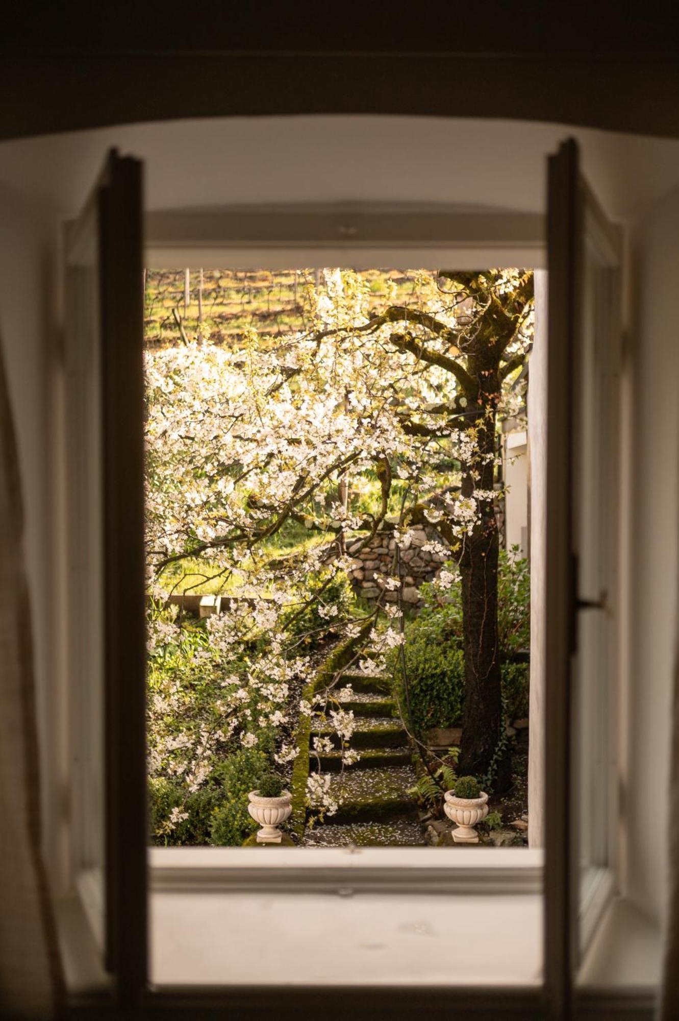 Ottmanngut Suite And Breakfast Merano Exterior photo